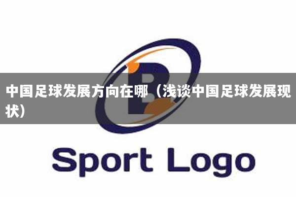 中国足球发展方向在哪(浅谈中国足球发展现状)