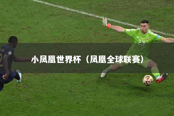 小凤凰世界杯（凤凰全球联赛）