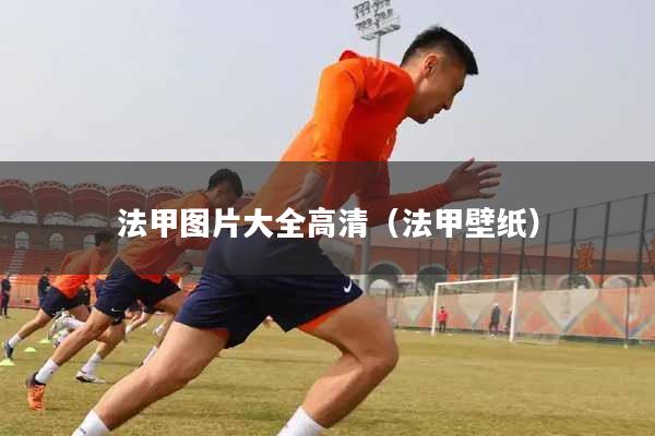 法甲图片大全高清（法甲壁纸）
